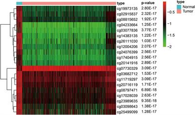 Recognition of DNA Methylation Molecular Features for Diagnosis and Prognosis in Gastric Cancer